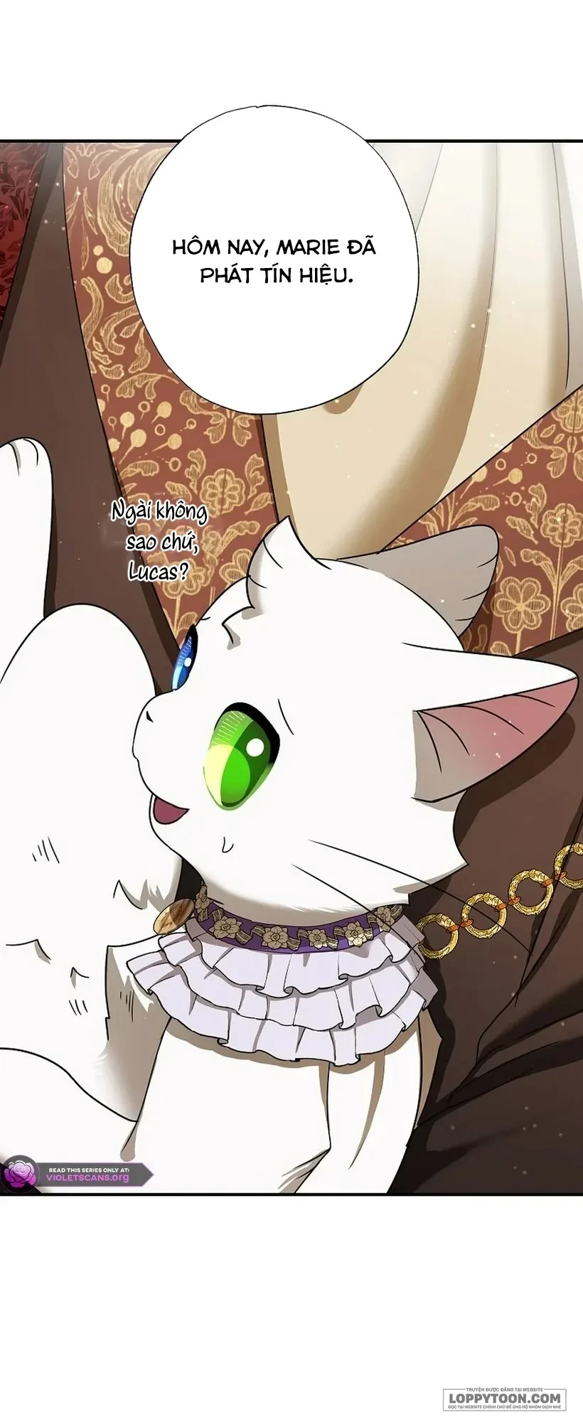 Trở Thành Miêu Nữ Của Hoàng Đế Chapter 74 - 7