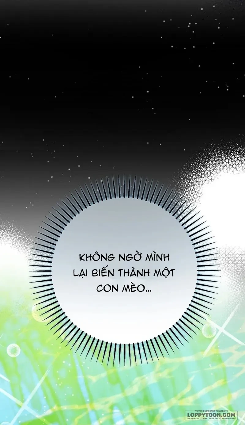 Trở Thành Miêu Nữ Của Hoàng Đế Chapter 84 - 22