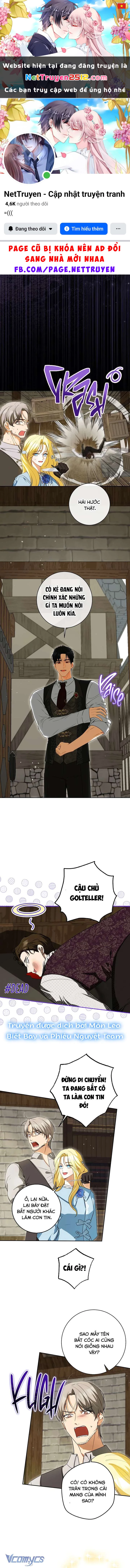 Hình Như Tôi Đã Xuyên Vào Cuốn Tiểu Thuyết Nào Đó Chapter 70 - 1