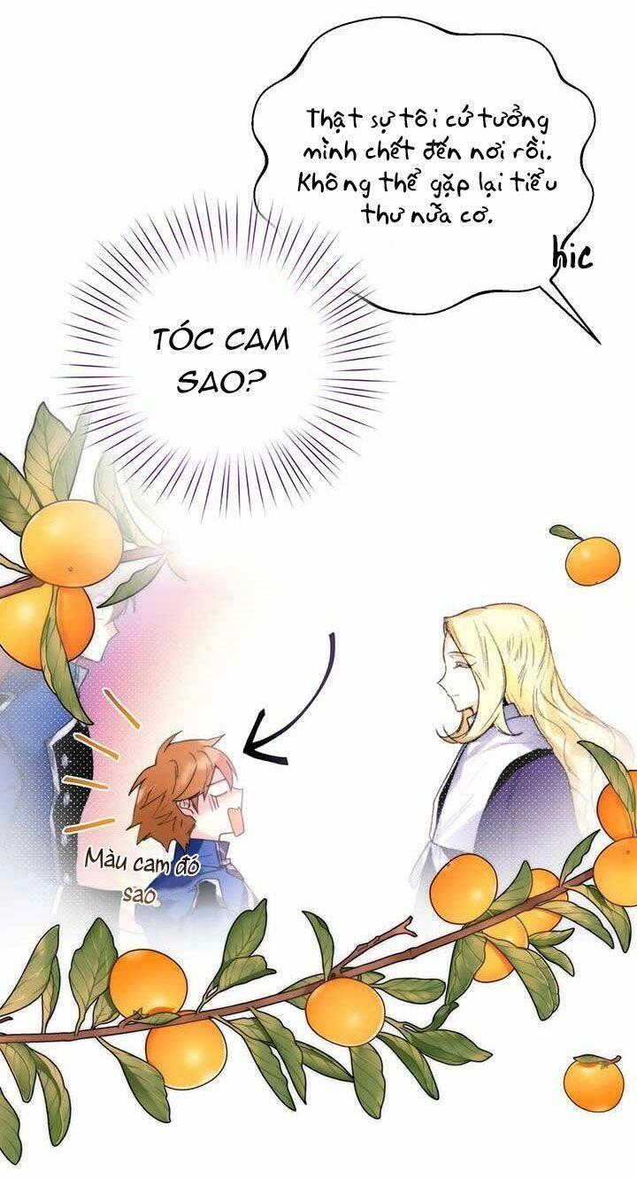 Cuộc Hôn Nhân Hoàng Gia Chapter 17 - 54