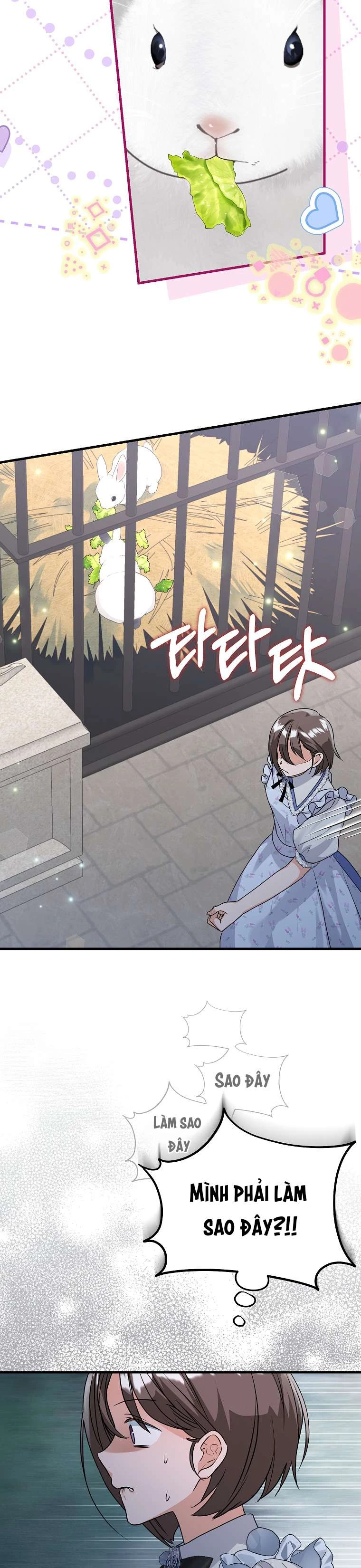 Kẻ Phản Diện Có Thời Hạn Ủng Hộ Tôi Hủy Hôn Chapter 45 - 25