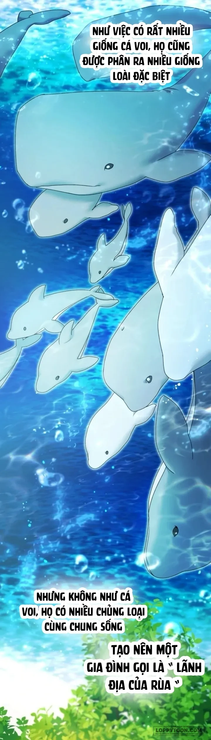 Bé Cá Voi Sát Thủ Phản Diện Chapter 91 - 28