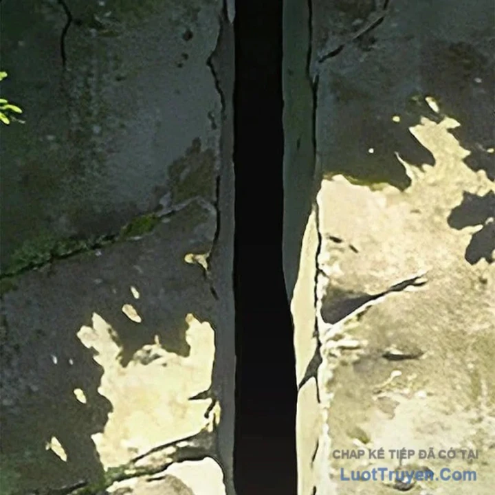 Ác long chuyển sinh: Bắt đầu phục thù từ 5 tuổi Chapter 173 - 45