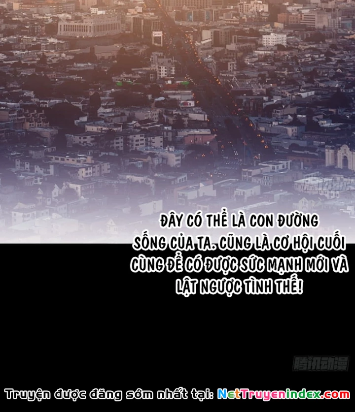 Ta Có Một Sơn Trại Chapter 1264 - 48