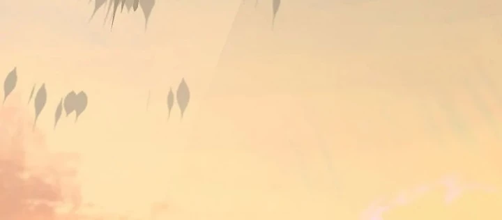 Thanh Mai Trúc Mã Của Đệ Nhất Thiên Hạ Chapter 85 - 286