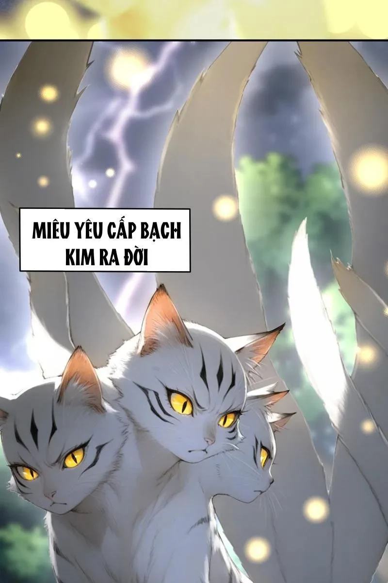 Khắp Thần Giới: Ta Hiến Tế Hàng Vạn Sinh Linh Trở Thành Thần Chapter 126 - 21