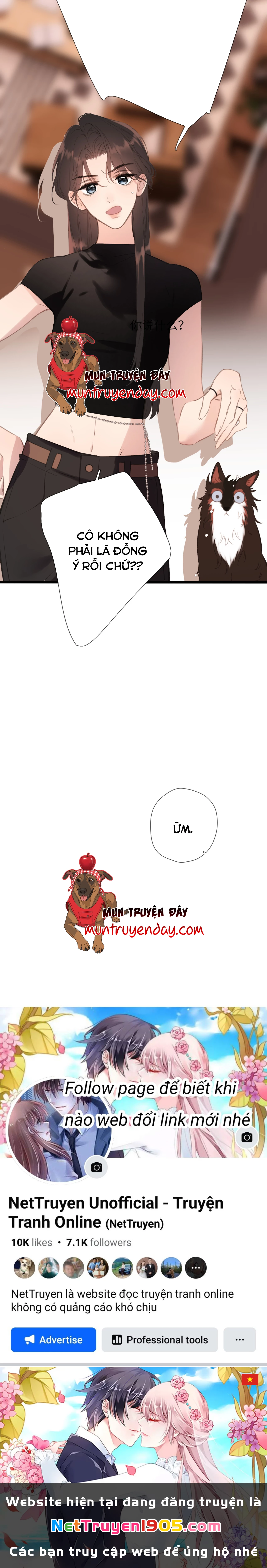 Ngược dòng về mùa xuân Chapter 58 - 4