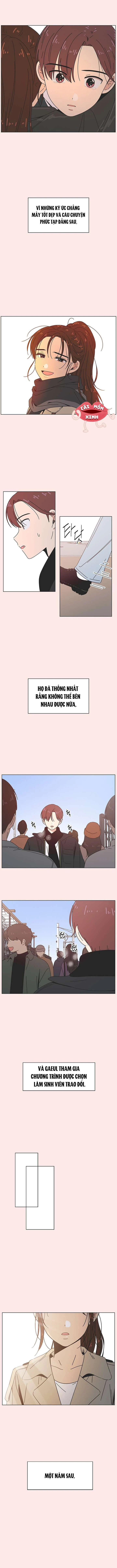 Thanh Xuân Đáng Yêu Chapter 42 - 2