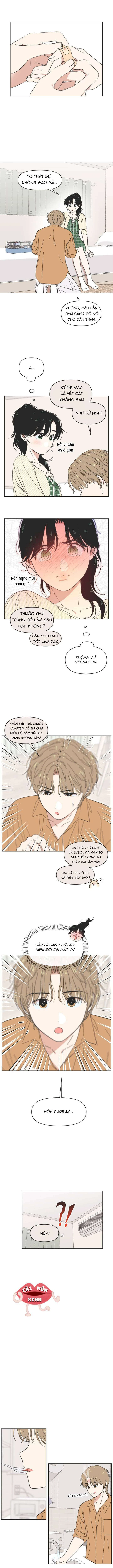 Thanh Xuân Đáng Yêu Chapter  61 - 4