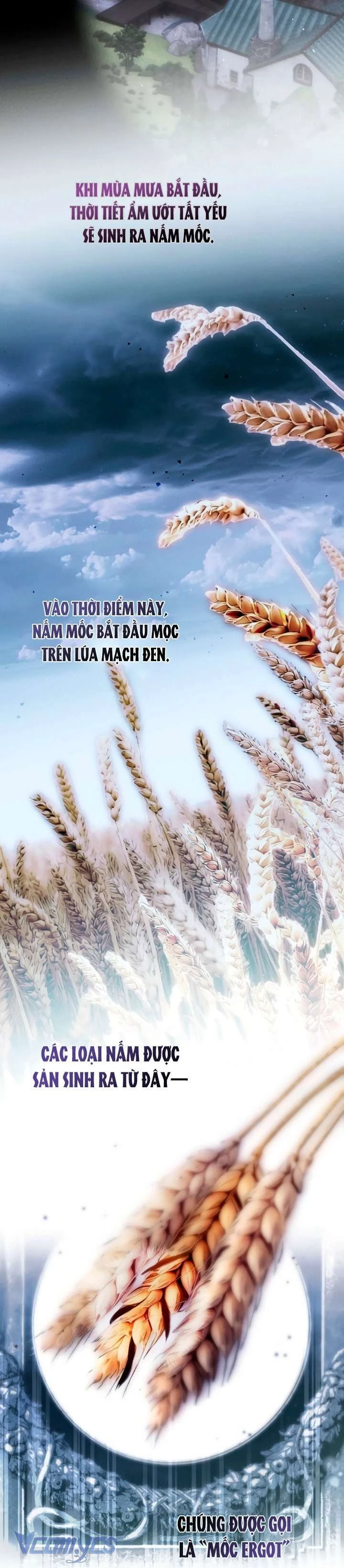 Ai Đó Đang Điều Khiển Cơ Thể Của Tôi Chapter 79 - 2