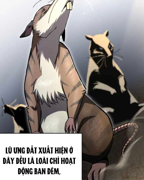 Chỉ Mình Ta Hồi Sinh Chapter 73 - 5