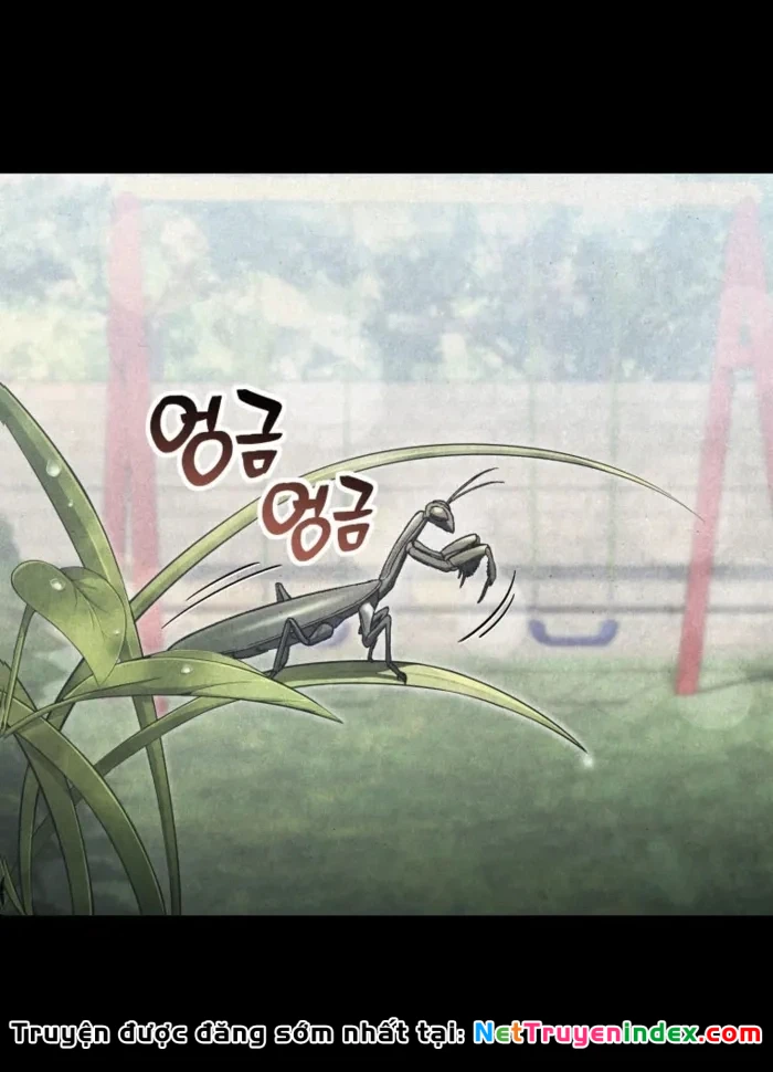 Chỉ Mình Ta Hồi Sinh Chapter 85 - 42