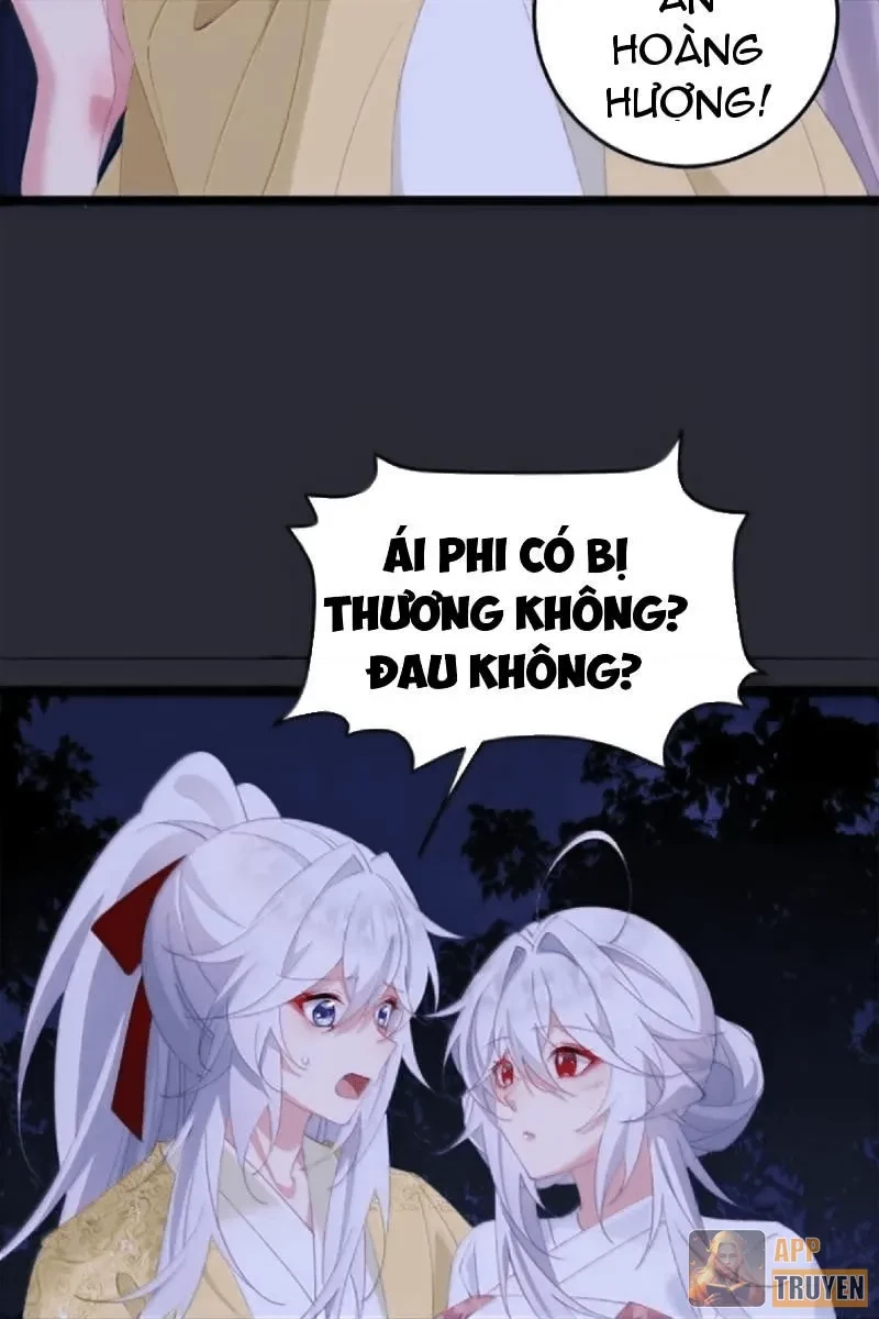 Phá thân của nữ Hoàng Đế Chapter 67 - 16