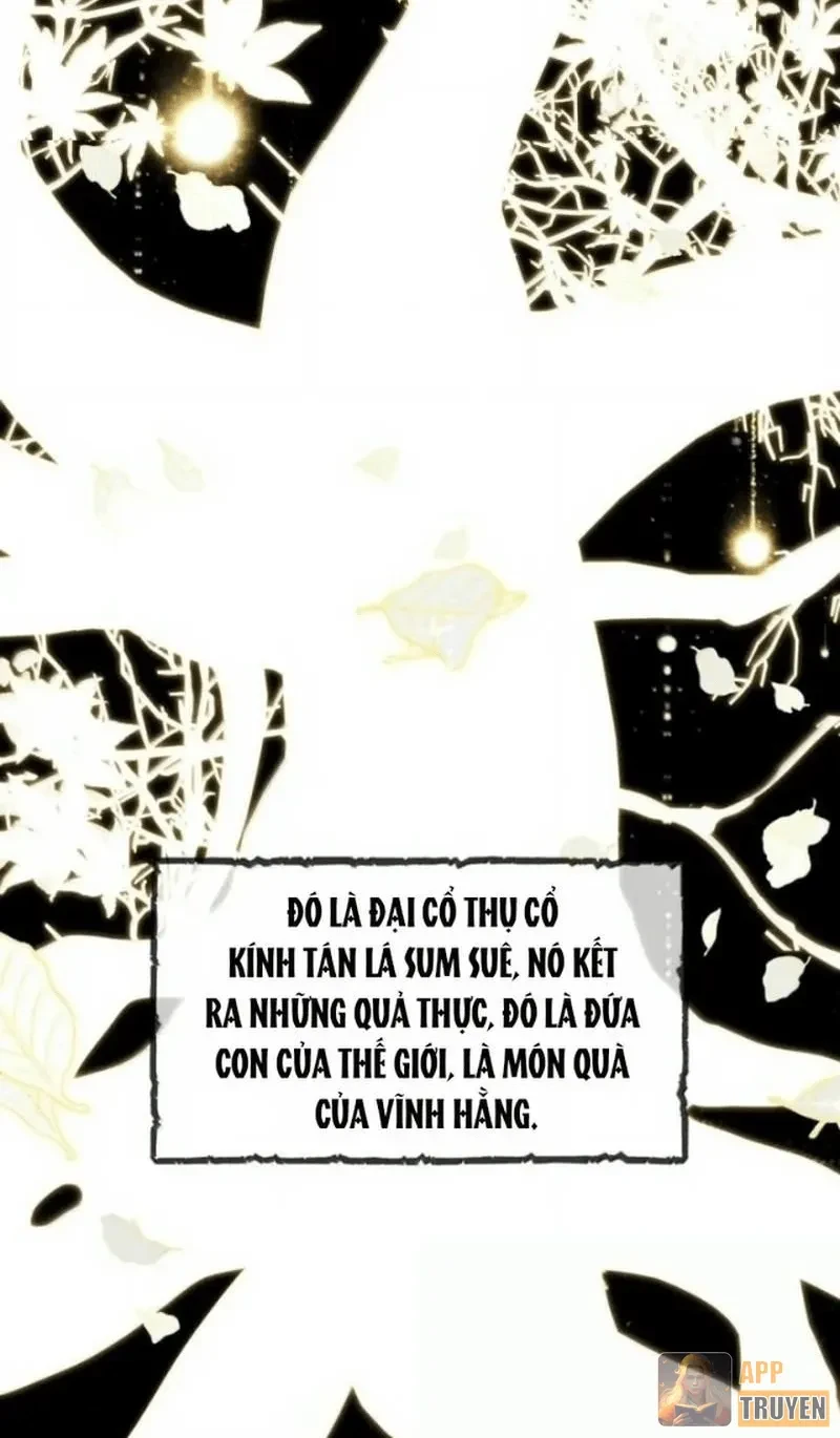 Vượt Cấp Xuyên Không, Tại Sao Tôi Lại Trở Thành Tiểu Thư Tu Sĩ? Chapter 83 - 37