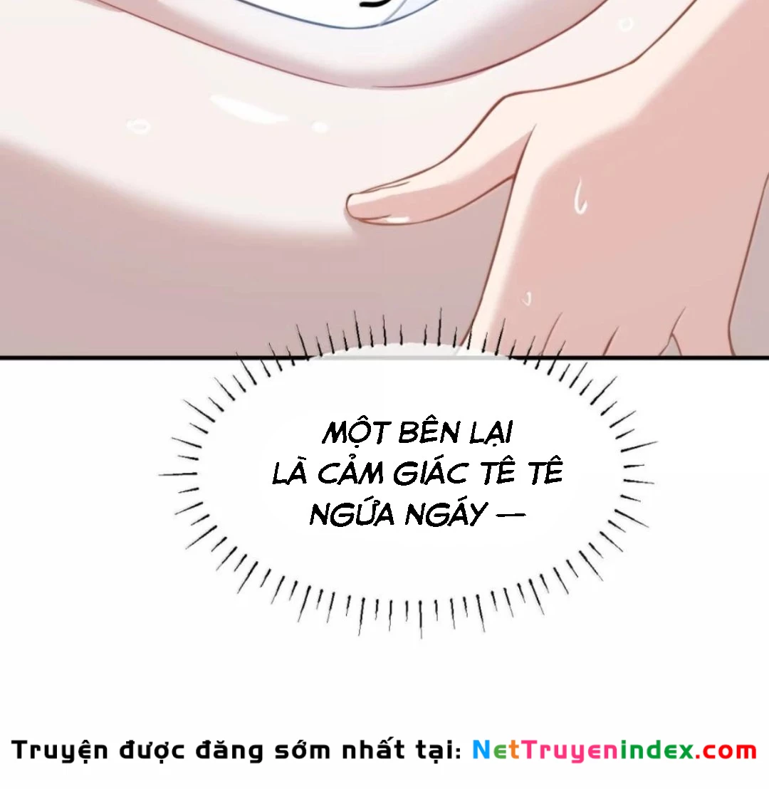 Vượt Cấp Xuyên Không, Tại Sao Tôi Lại Trở Thành Tiểu Thư Tu Sĩ? Chapter 54 - 67