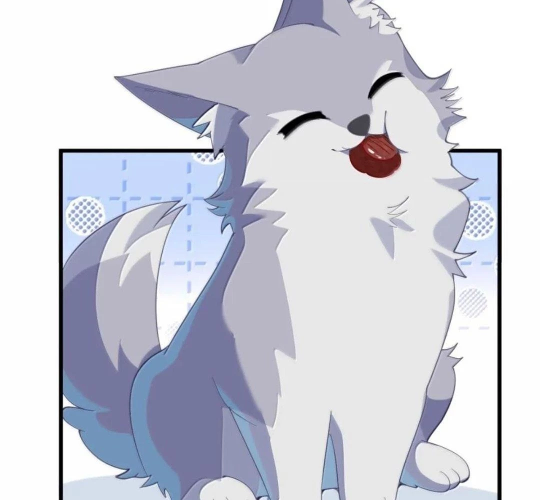 Vượt Cấp Xuyên Không, Tại Sao Tôi Lại Trở Thành Tiểu Thư Tu Sĩ? Chapter 55 - 60