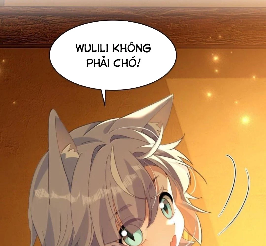 Vượt Cấp Xuyên Không, Tại Sao Tôi Lại Trở Thành Tiểu Thư Tu Sĩ? Chapter 55 - 67