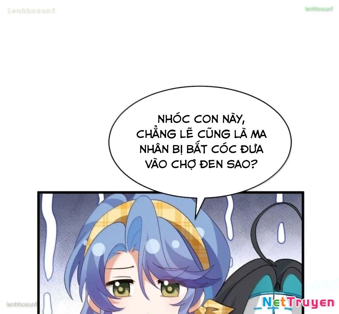 Vượt Cấp Xuyên Không, Tại Sao Tôi Lại Trở Thành Tiểu Thư Tu Sĩ? Chapter 55 - 76