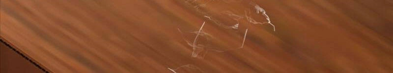 Ta Không Muốn Trùng Sinh Đâu Chapter 230 - 55