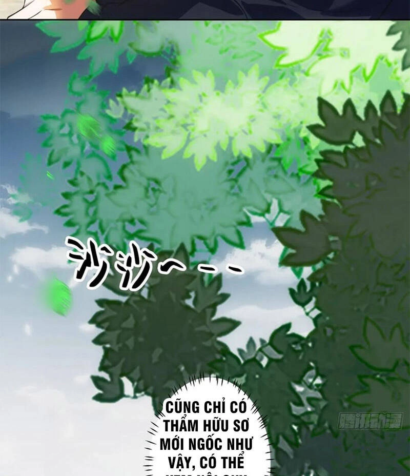 Ta Không Muốn Trùng Sinh Đâu Chapter 204 - 61