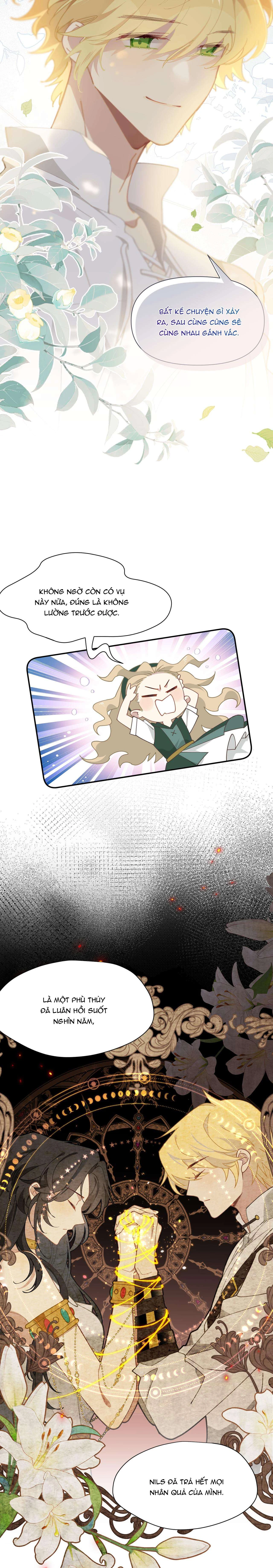 Xuyên thành phù thủy nuôi dưỡng kỵ sĩ thánh điện Chapter  96 - 12