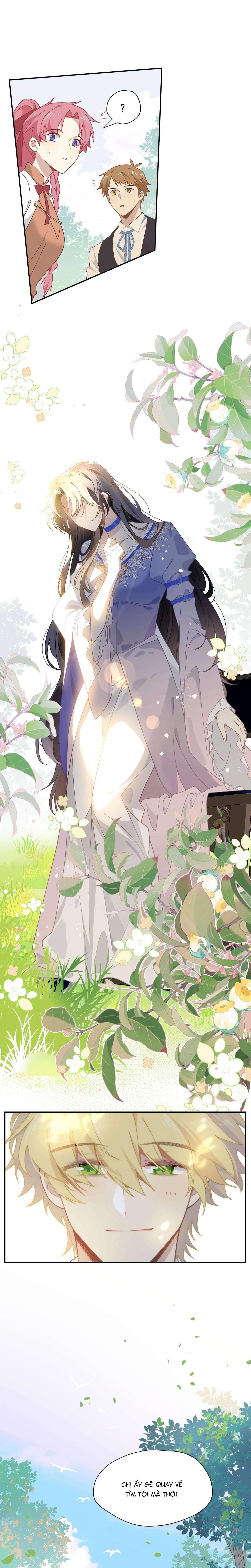 Xuyên thành phù thủy nuôi dưỡng kỵ sĩ thánh điện Chapter  96 - 15