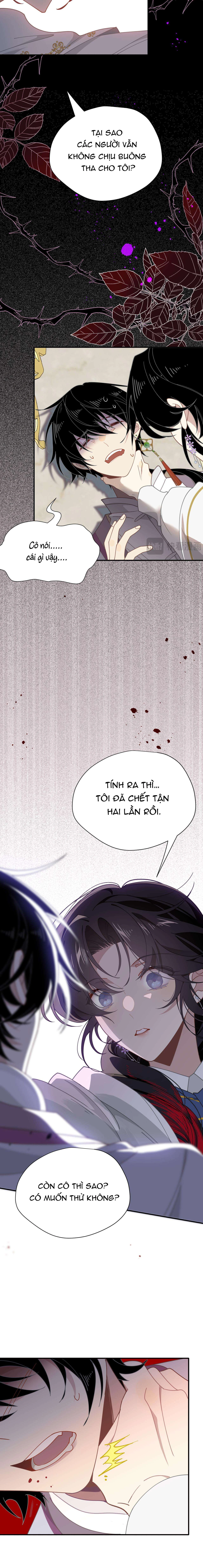 Xuyên thành phù thủy nuôi dưỡng kỵ sĩ thánh điện Chapter  61 - 3