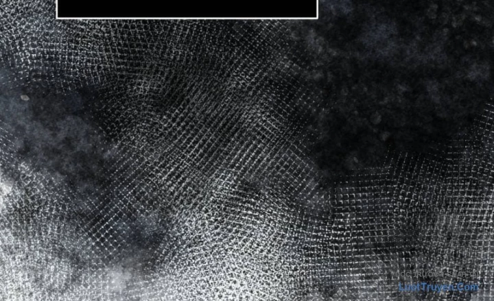 Mình Tao Là Siêu Việt Giả Mạnh Nhất! Chapter 75 - 361