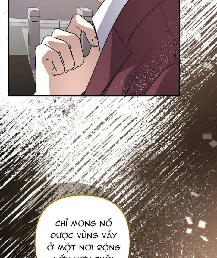 Nhà Soạn Nhạc Thiên Tài Đã Trở Lại Chapter 99 - 11