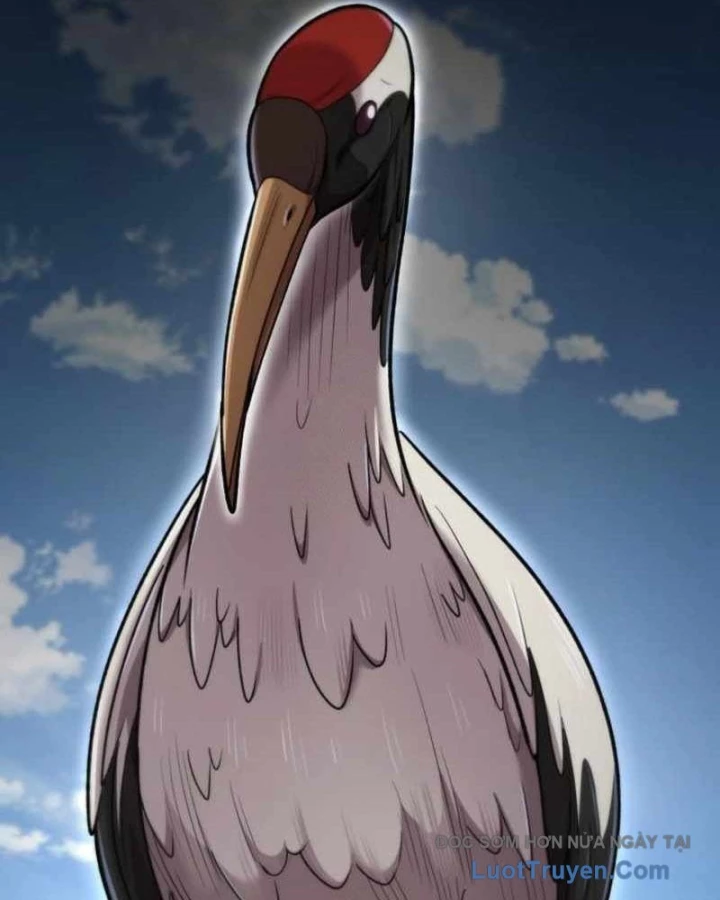 Sư Tôn Của Ta Luôn Dõi Theo Chapter 65 - 139