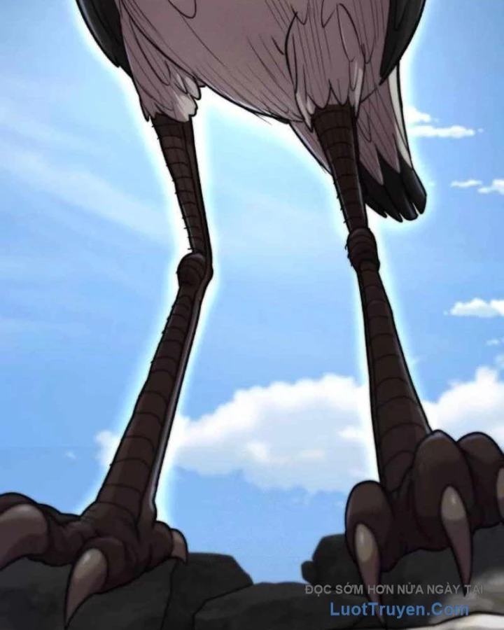 Sư Tôn Của Ta Luôn Dõi Theo Chapter 65 - 140