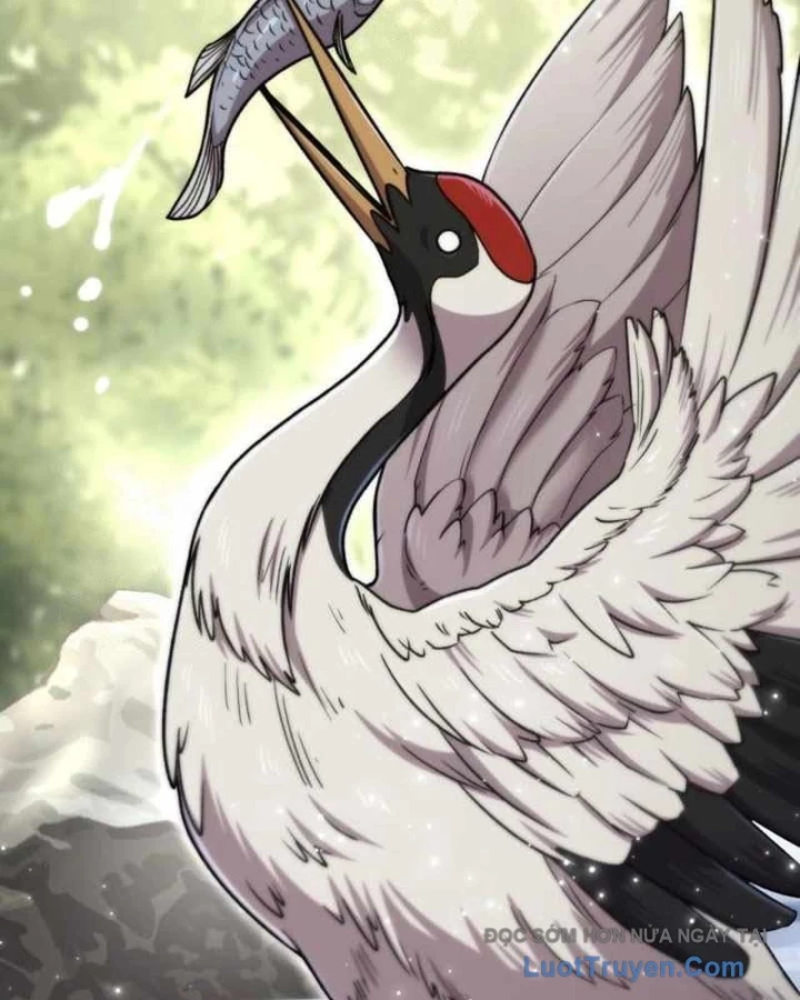 Sư Tôn Của Ta Luôn Dõi Theo Chapter 65 - 144