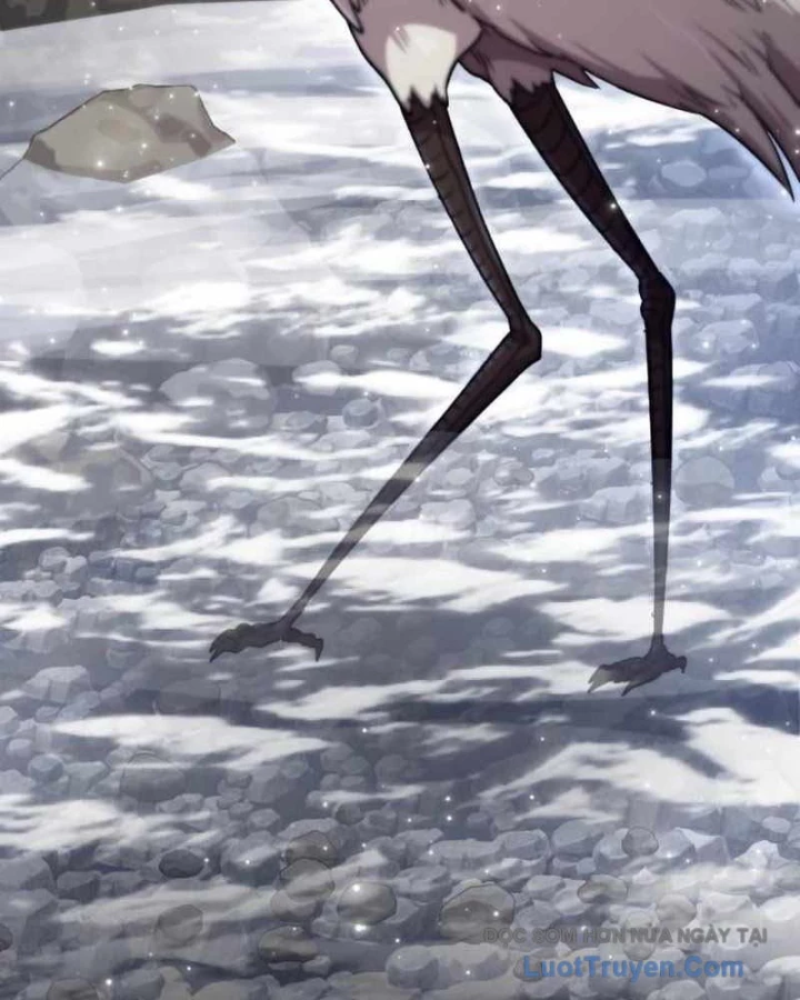 Sư Tôn Của Ta Luôn Dõi Theo Chapter 65 - 145