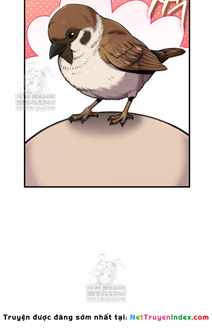 Sư Tôn Của Ta Luôn Dõi Theo Chapter 74 - 102