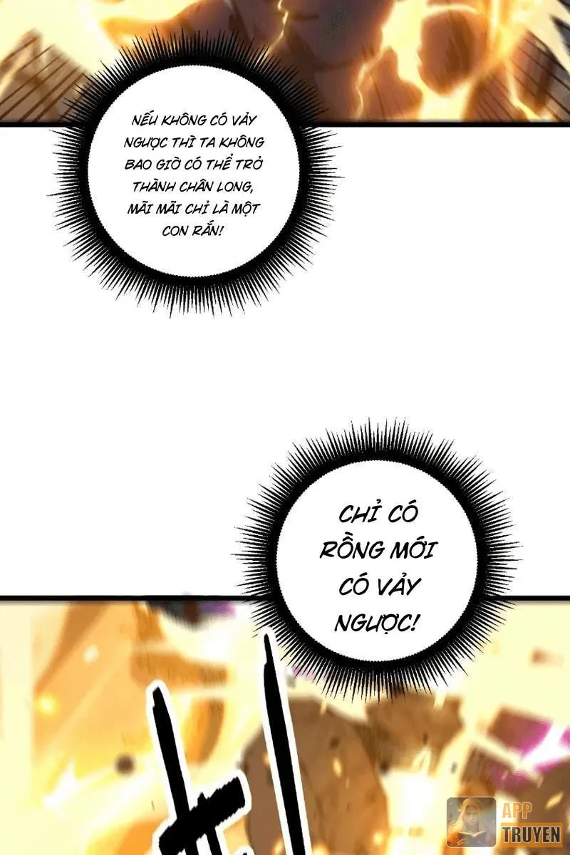 Lão xà tu tiên truyện Chapter 66 - 63