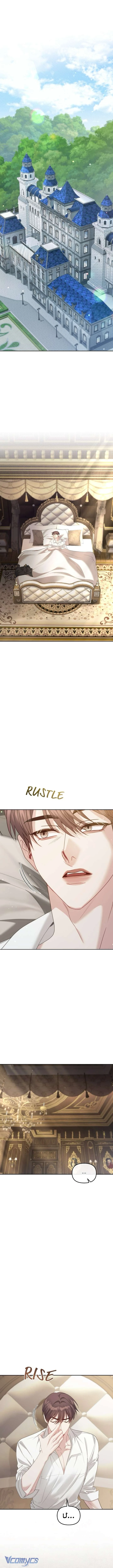 Tuy Là Hoàng Hậu Thay Thế Nhưng Tôi Lại Đánh Mất Đêm Đầu Tiên Chapter 51 - 7