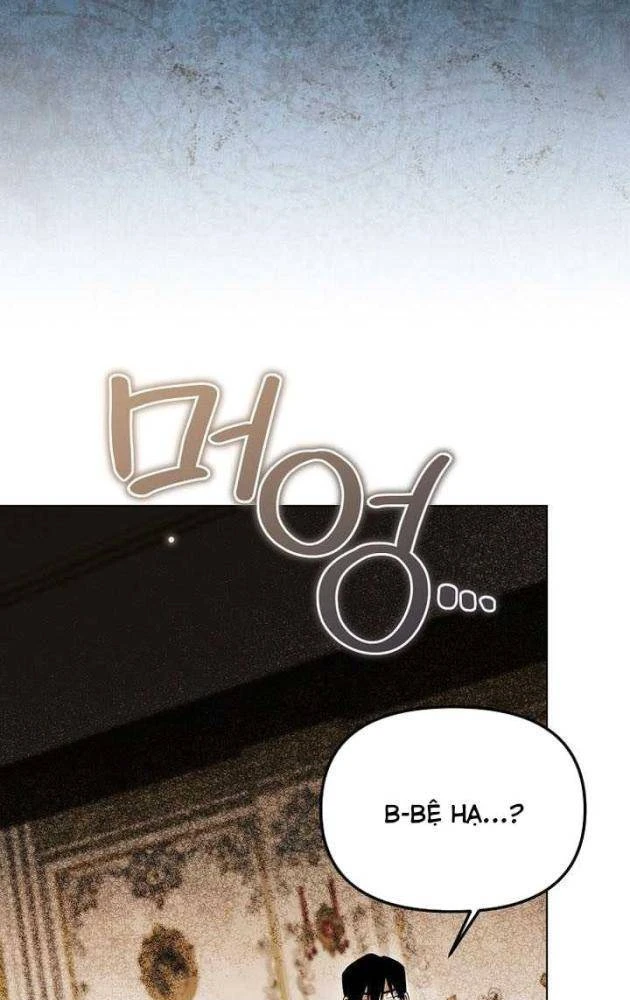 Thuần Thú Sư Thiên Tài Chapter 61 - 34