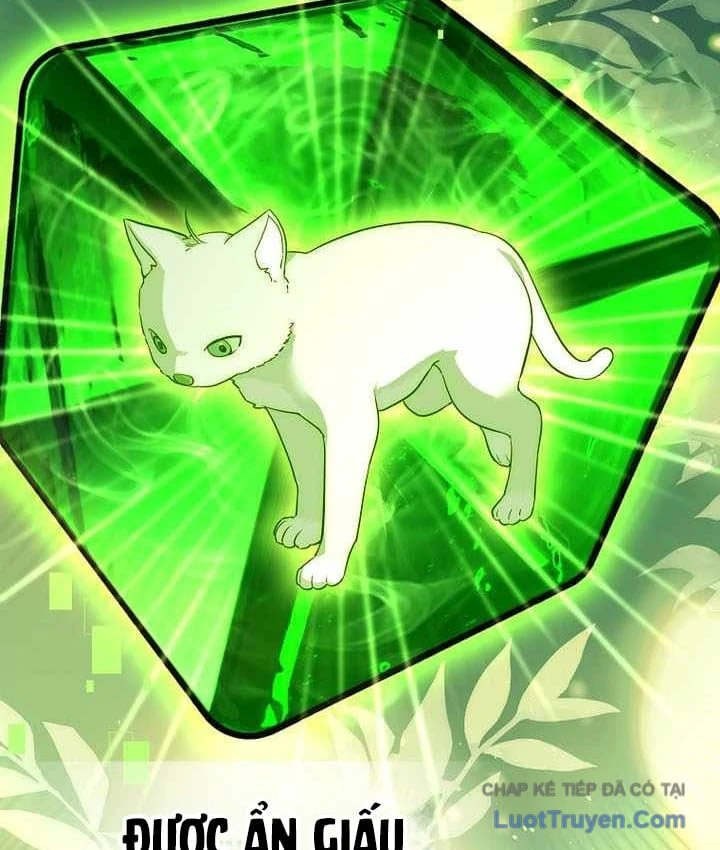 Thuần Thú Sư Thiên Tài Chapter 74 - 113