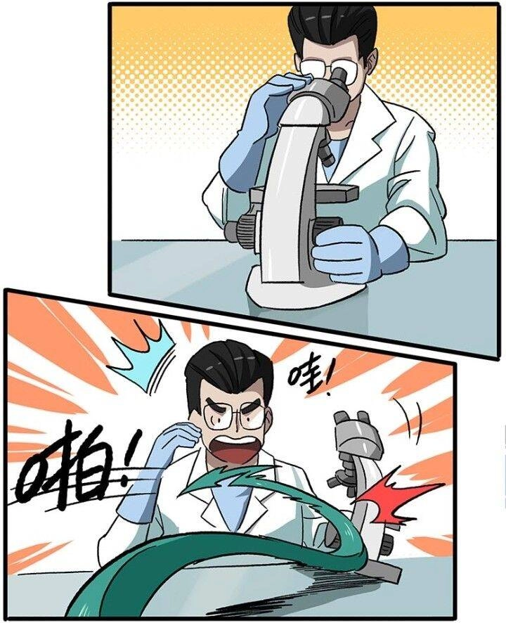 Học Viện Phi Nhân Chapter 225.2 - 12