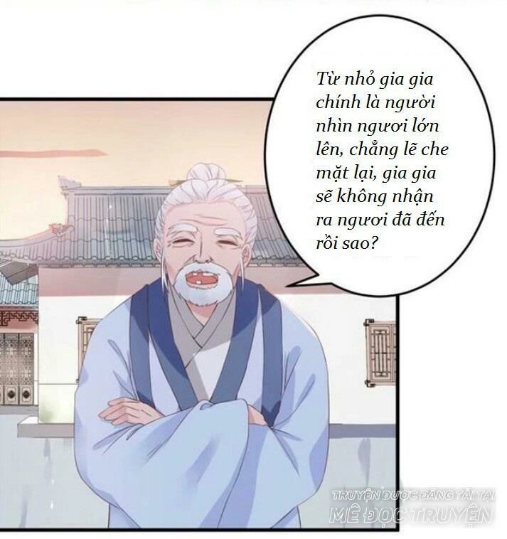 Tuyệt Sắc Quyến Rũ: Quỷ Y Chí Tôn Chapter 60 - 6