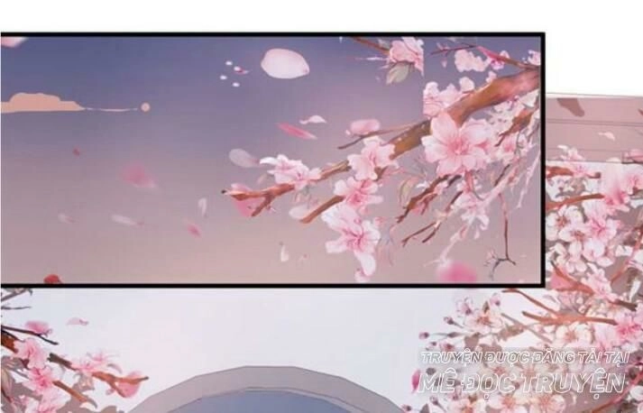 Tuyệt Sắc Quyến Rũ: Quỷ Y Chí Tôn Chapter 60 - 31