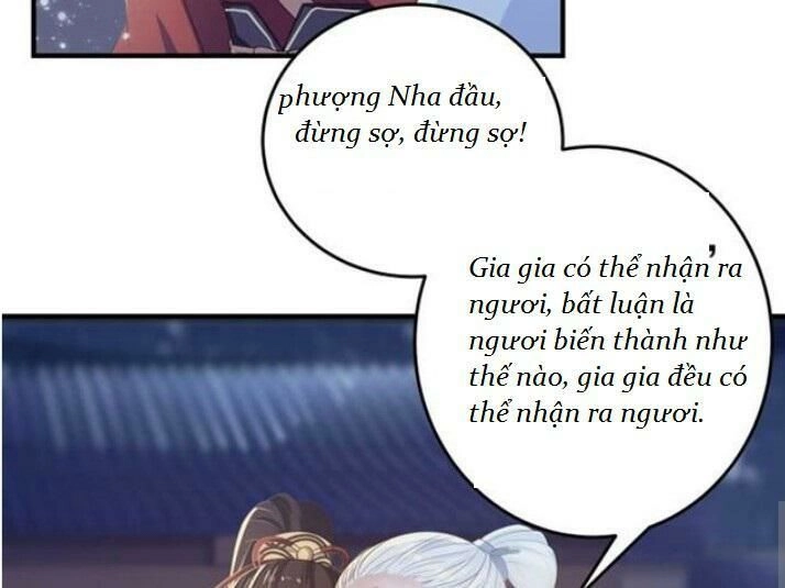 Tuyệt Sắc Quyến Rũ: Quỷ Y Chí Tôn Chapter 61 - 25