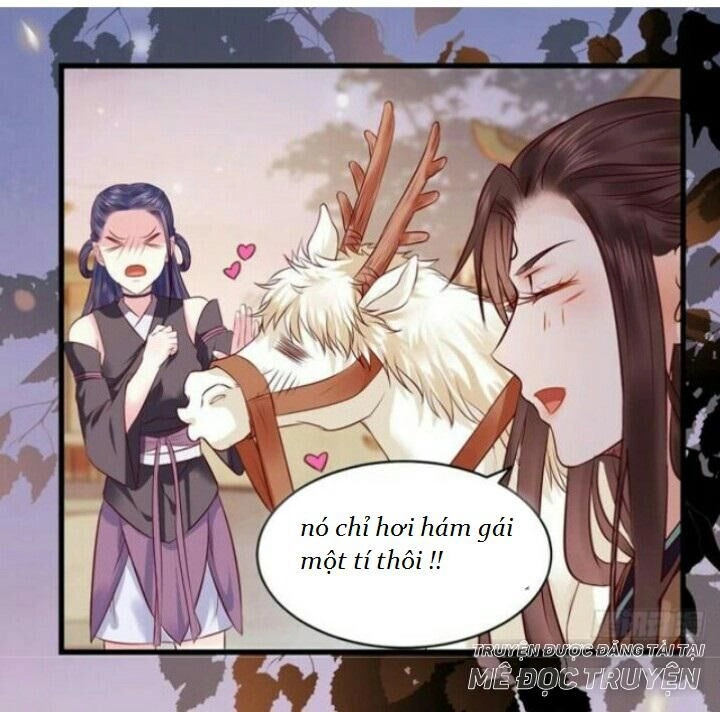 Tuyệt Sắc Quyến Rũ: Quỷ Y Chí Tôn Chapter 136 - 11