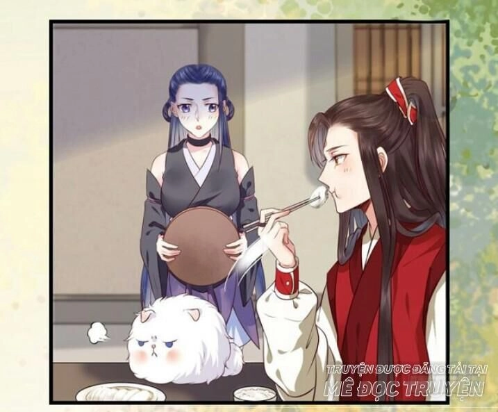 Tuyệt Sắc Quyến Rũ: Quỷ Y Chí Tôn Chapter 137 - 61