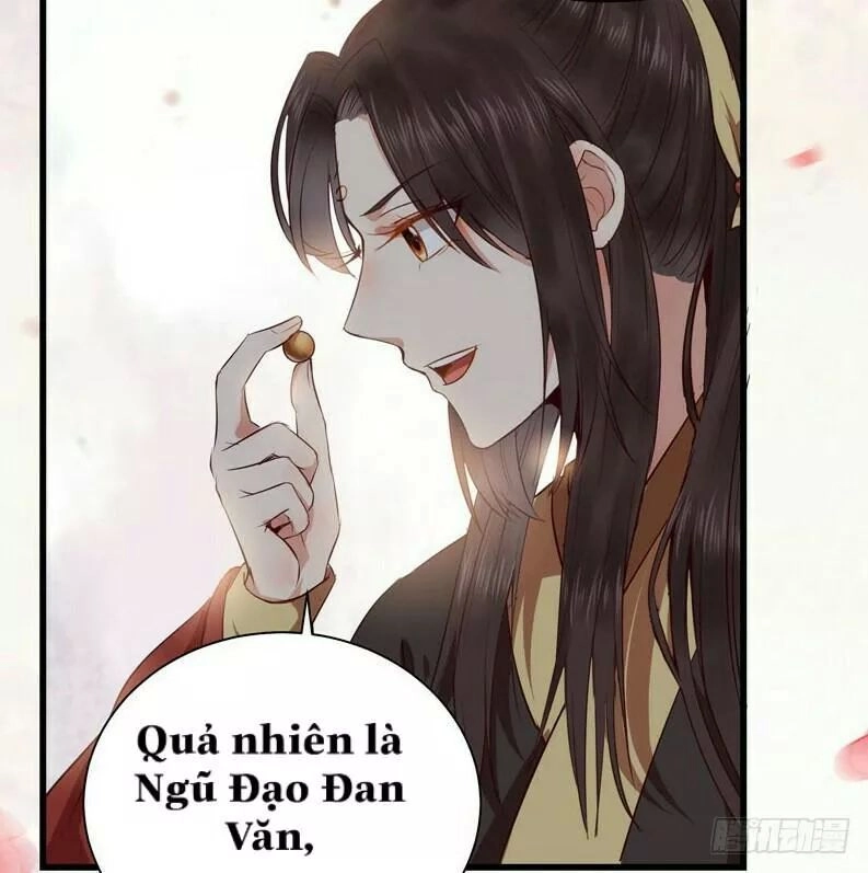 Tuyệt Sắc Quyến Rũ: Quỷ Y Chí Tôn Chapter 150 - 22