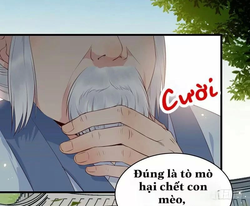 Tuyệt Sắc Quyến Rũ: Quỷ Y Chí Tôn Chapter 150 - 44