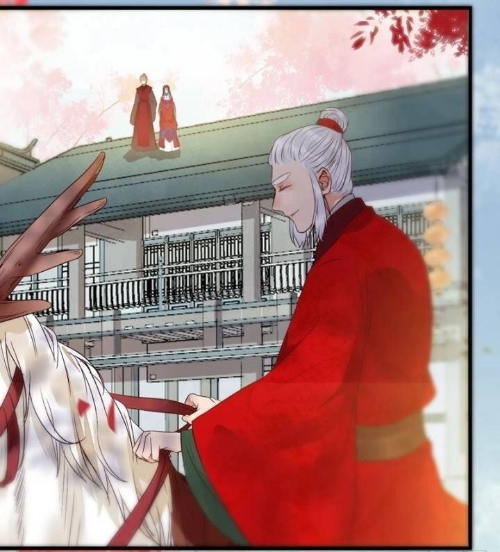 Tuyệt Sắc Quyến Rũ: Quỷ Y Chí Tôn Chapter 227 - 36