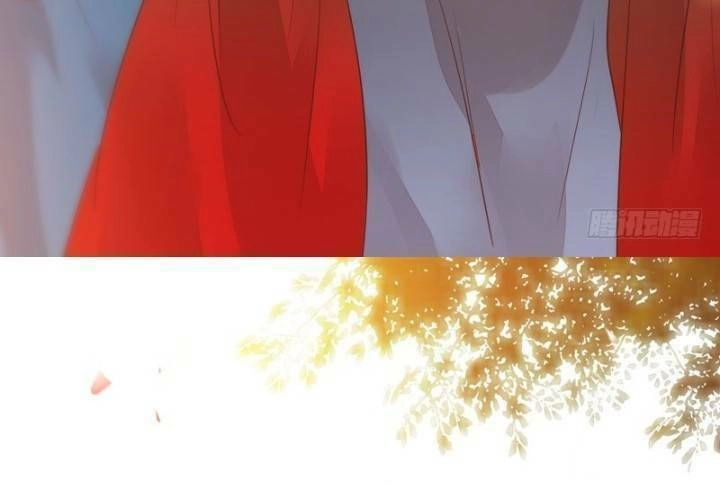 Tuyệt Sắc Quyến Rũ: Quỷ Y Chí Tôn Chapter 228 - 9