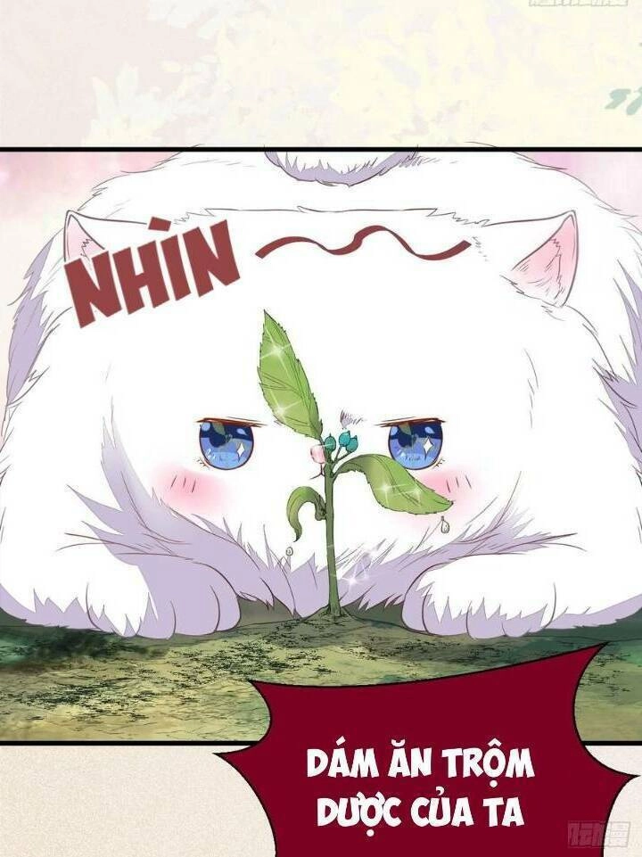 Tuyệt Sắc Quyến Rũ: Quỷ Y Chí Tôn Chapter 253 - 24