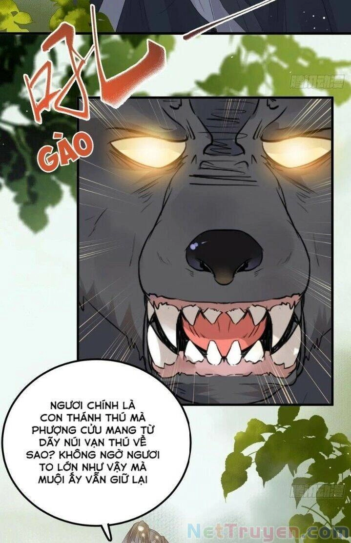 Tuyệt Sắc Quyến Rũ: Quỷ Y Chí Tôn Chapter 265 - 3